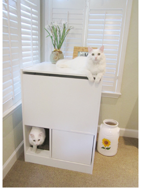 cat litter box