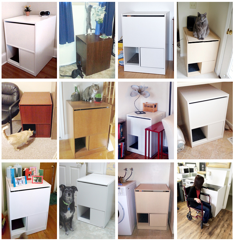 Elevated cat litter clearance box